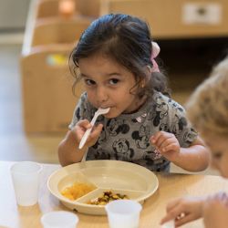 Early preschool girl eating lunch at daycare